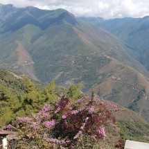 View to the Yungas from Coroico